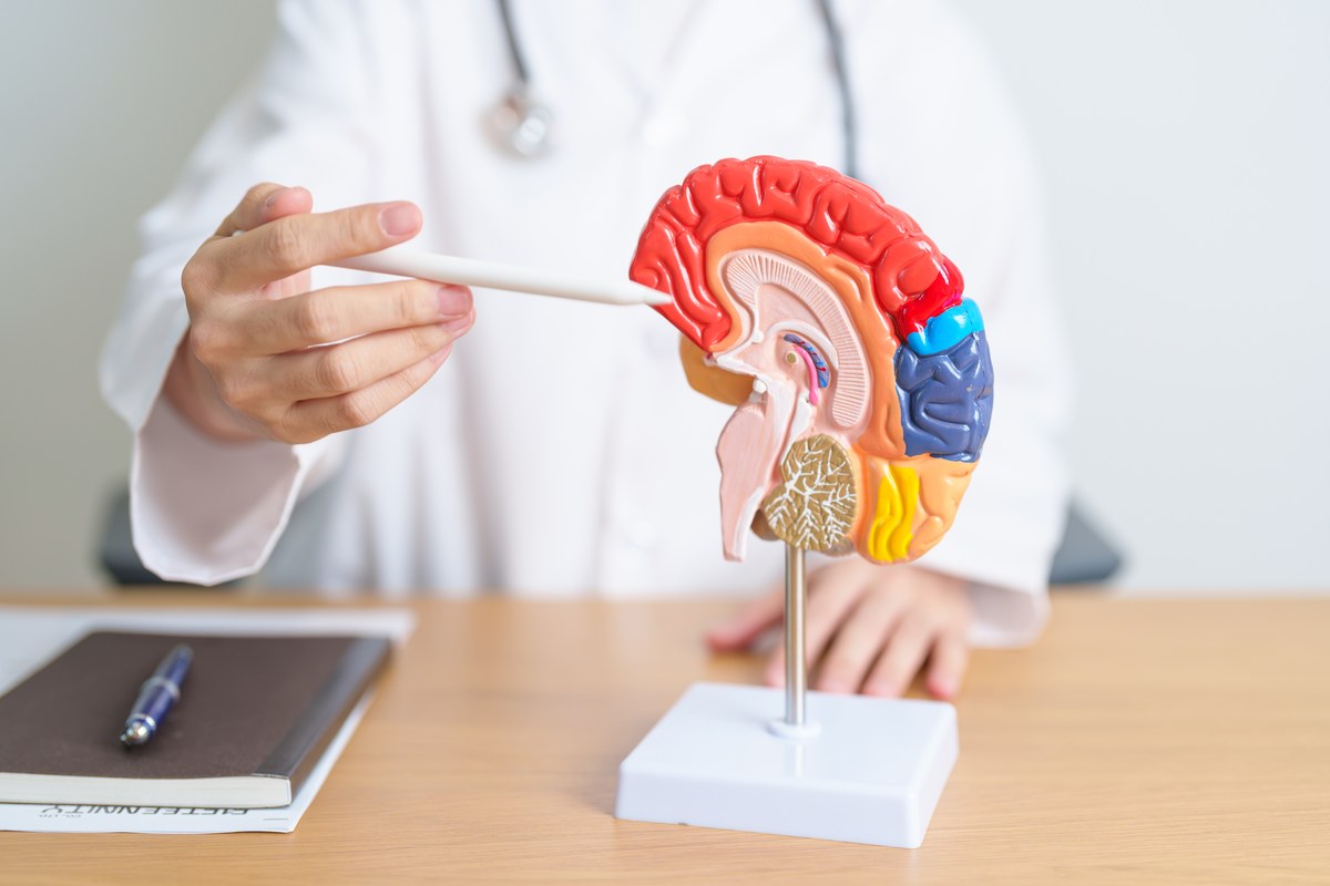 脳梗塞で幻覚・妄想が起こる原因とは?症状の特徴とリハビリ・治療方法を専門家視点でわかりやすく解説